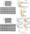 Extended Data Fig. 8