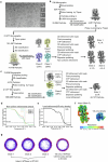 Extended Data Fig. 2