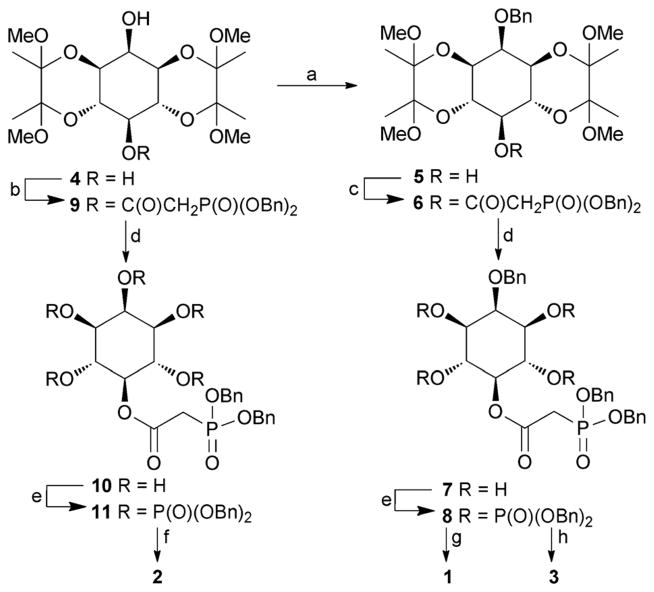 Scheme 1