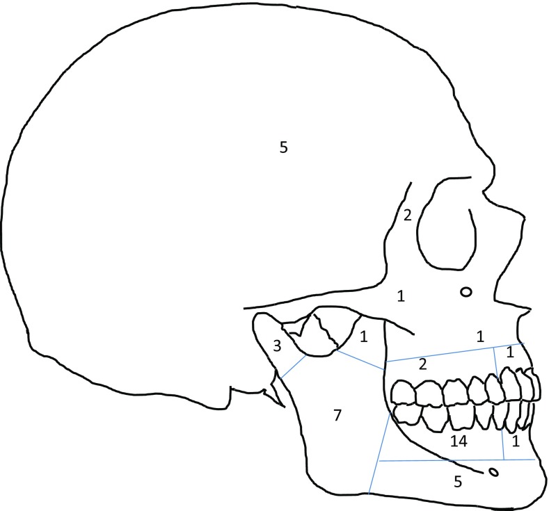 Fig. 2