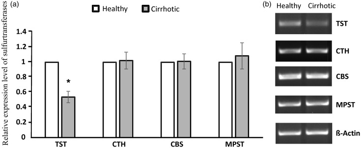 Figure 7.