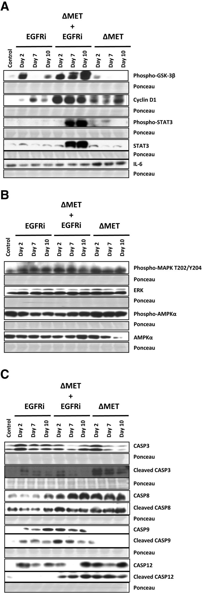 Figure 5