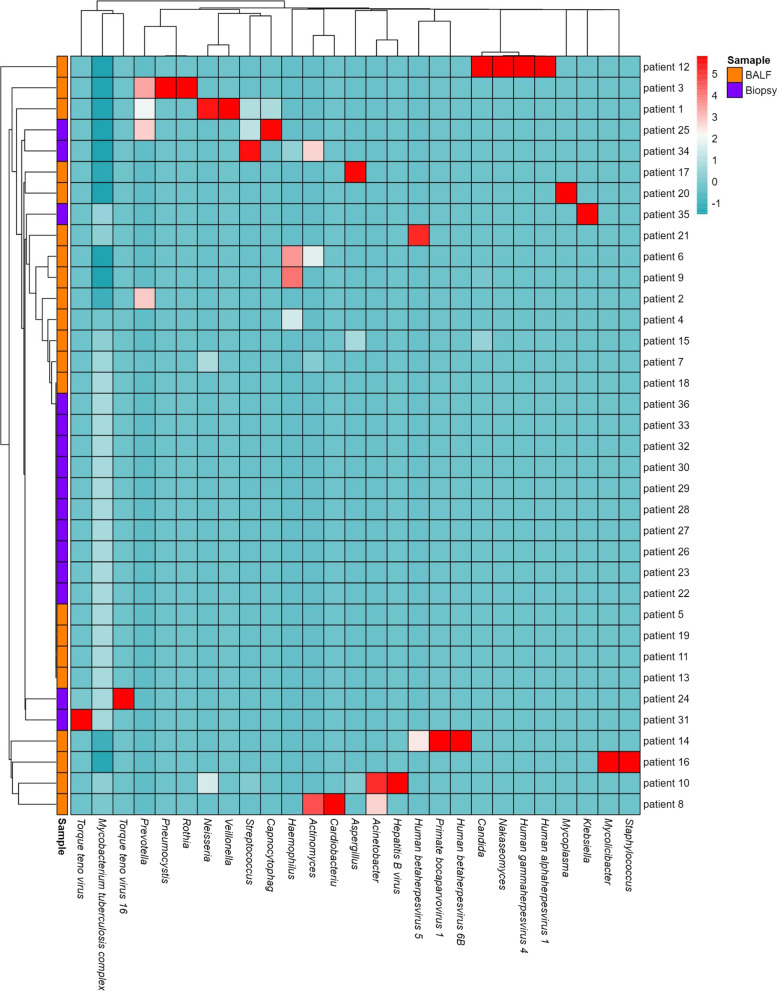 Fig. 4