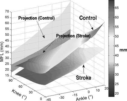 Fig. 8.