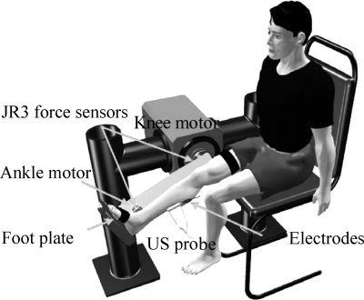 Fig. 1.