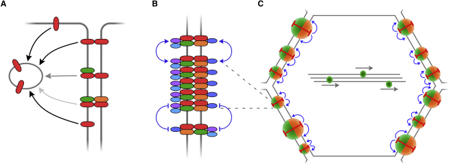 Figure 7