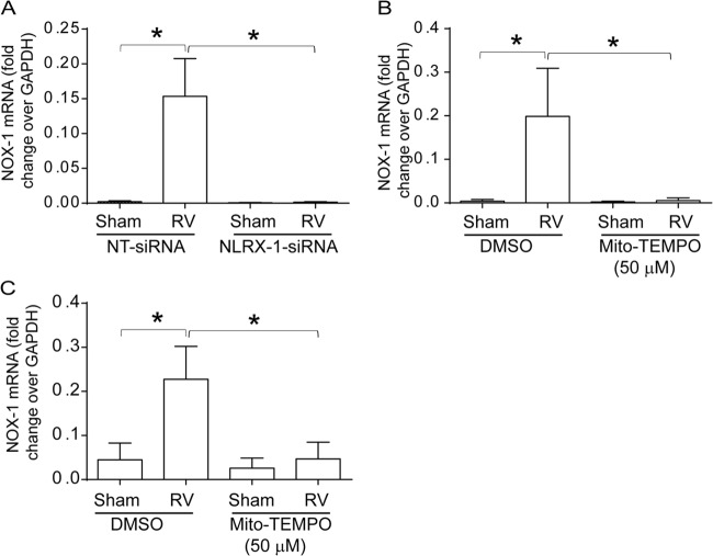 FIG 10