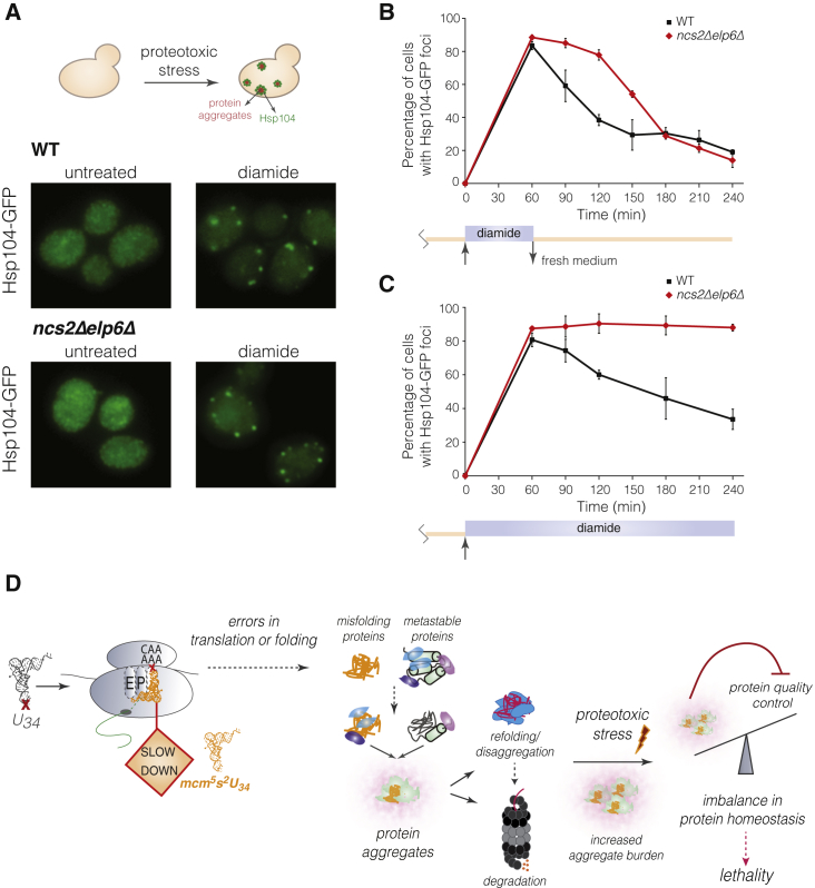 Figure 6