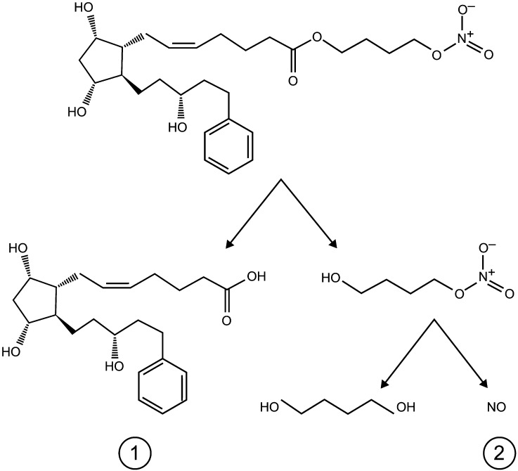 Fig. 1