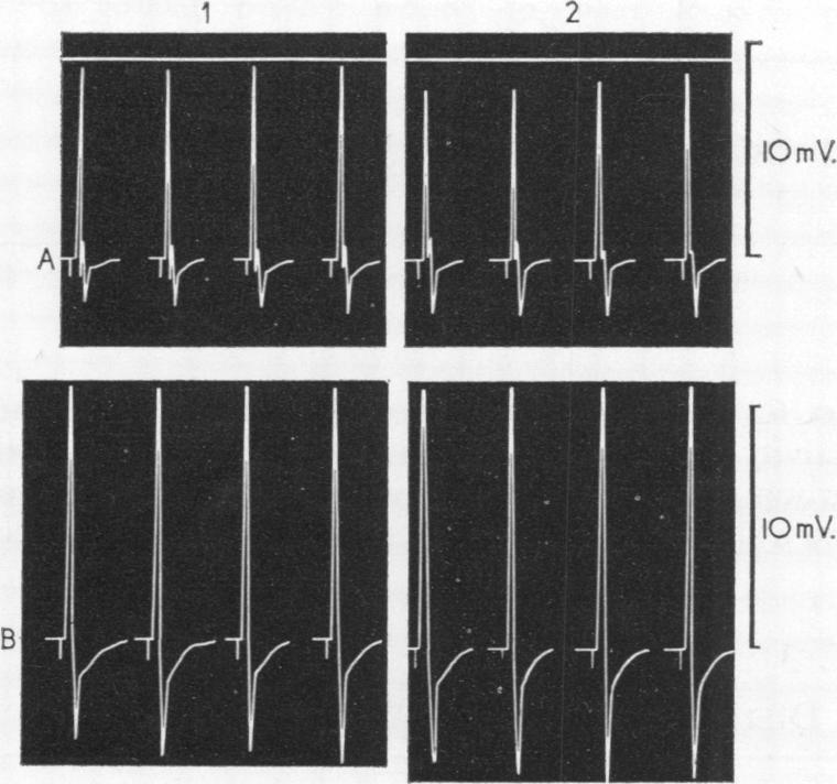 graphic file with name brjindmed00107-0083-a.jpg