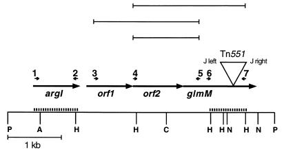 FIG. 1