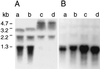 FIG. 7