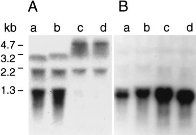 FIG. 7