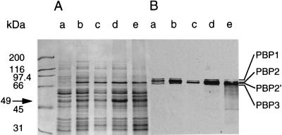 FIG. 5