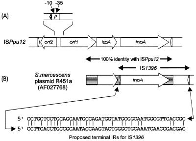 FIG. 5.