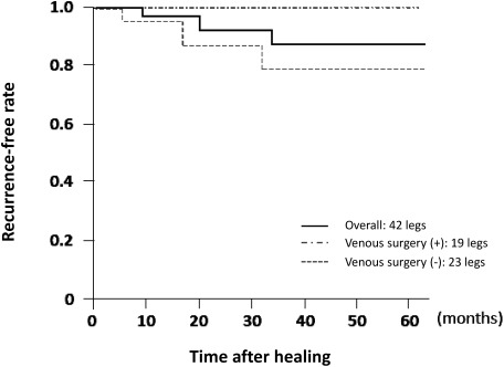 Fig. 1 Recurrence-free rate.