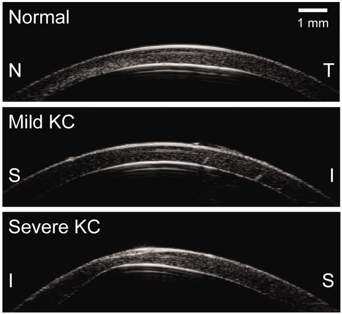 Figure 2.