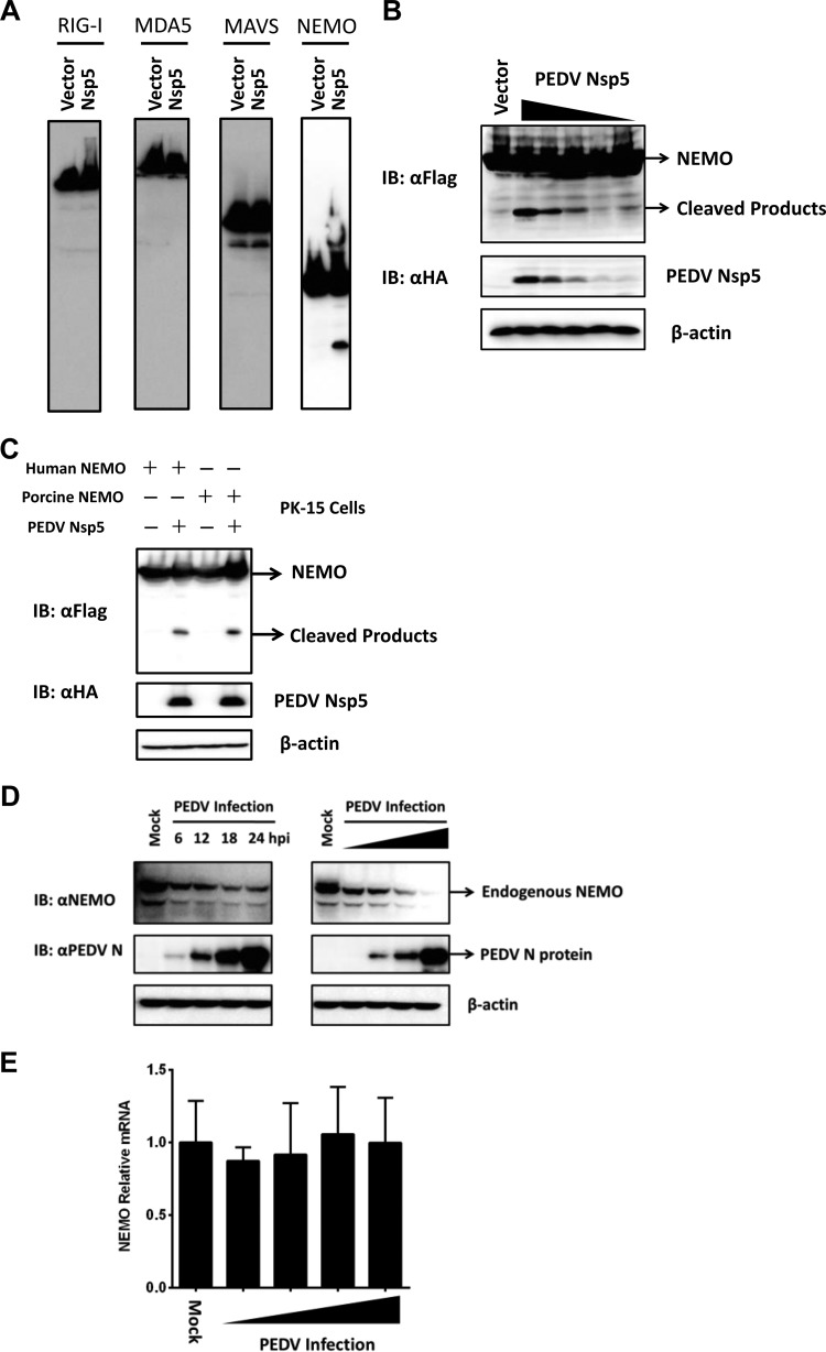 FIG 4