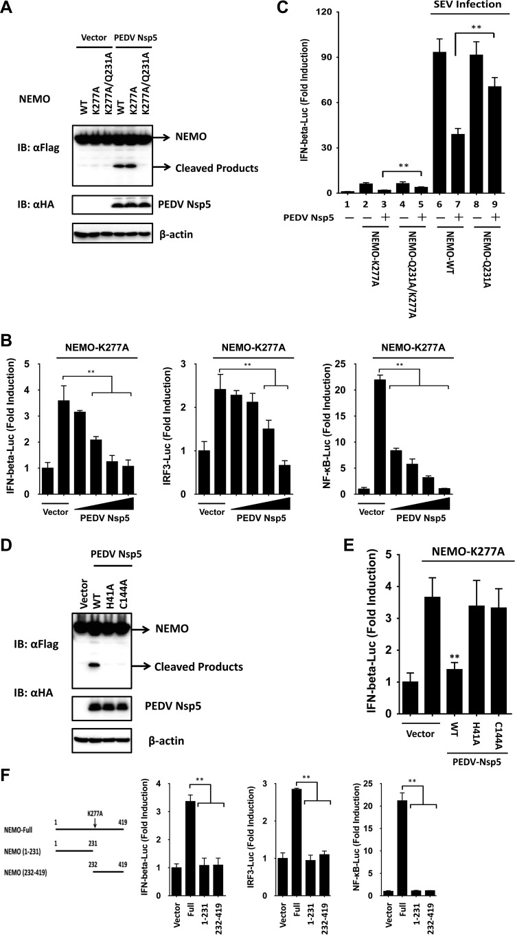 FIG 6