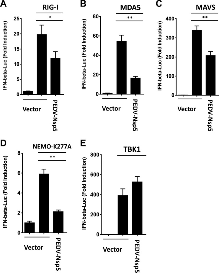 FIG 3