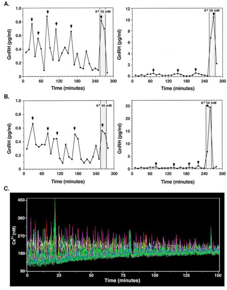 Figure 1: