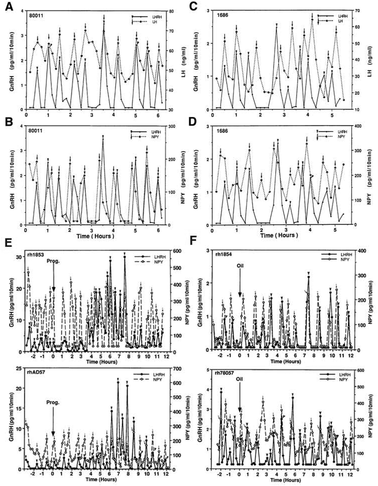 Figure 2: