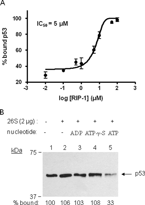 FIGURE 3.