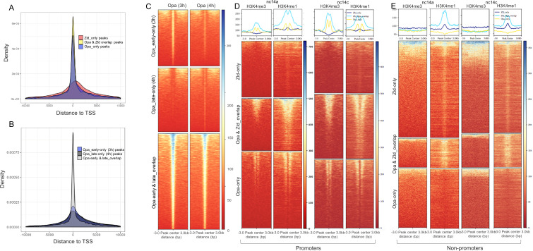 Figure 4—figure supplement 2.