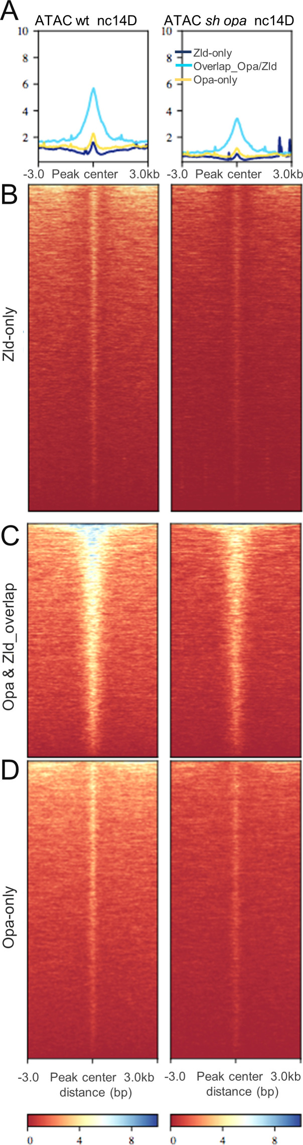 Figure 5—figure supplement 2.