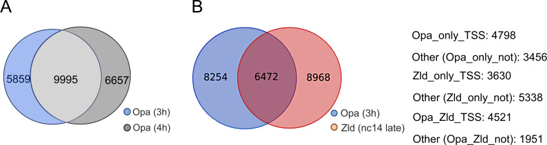 Figure 2—figure supplement 1.