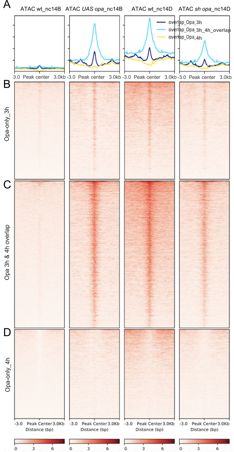 Figure 6—figure supplement 1.