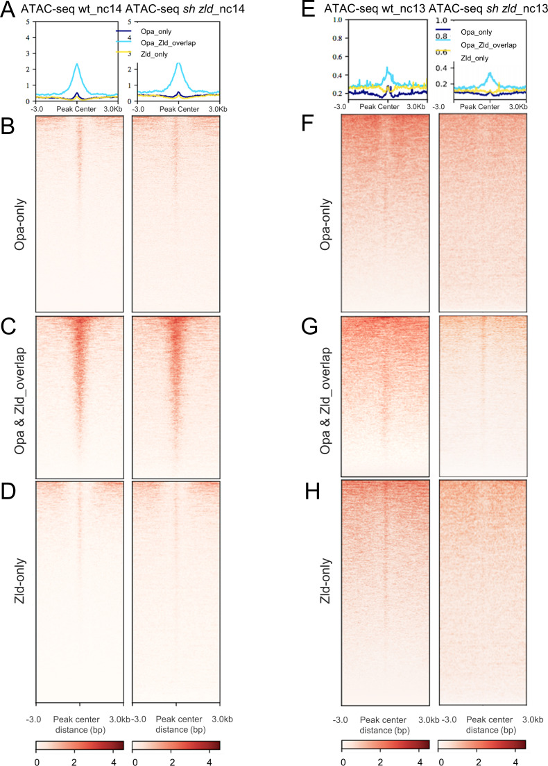 Figure 5—figure supplement 3.