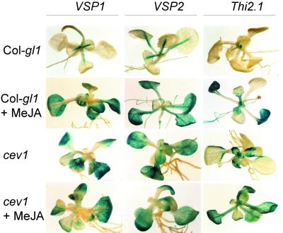 Figure 4.