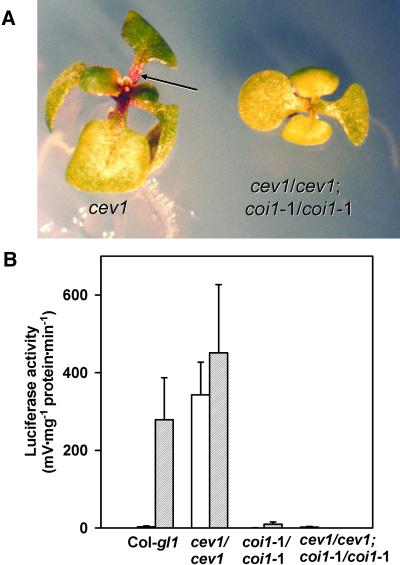 Figure 5.