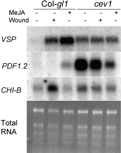 Figure 3.