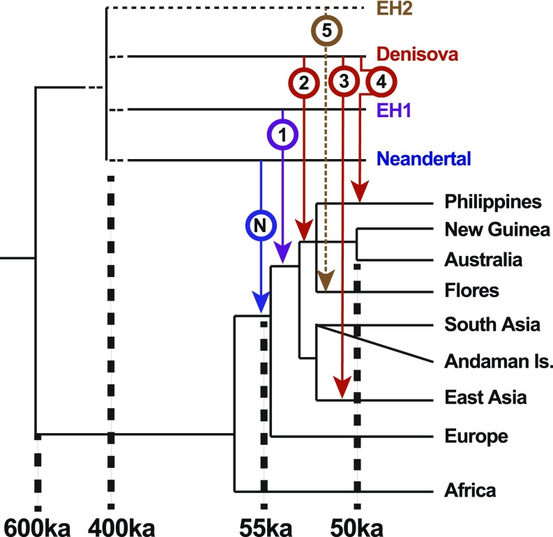 Fig. 3.