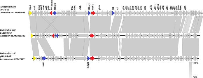 FIG 2