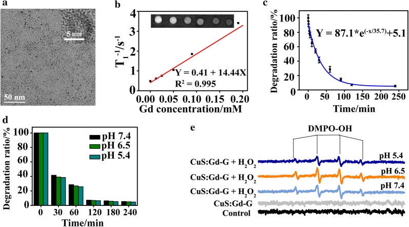 Fig. 2