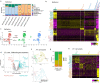 Extended Data Fig. 5