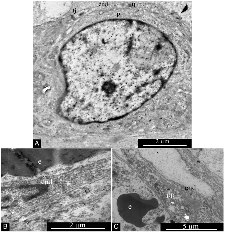 Figure 17