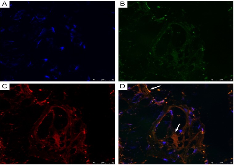 Figure 13