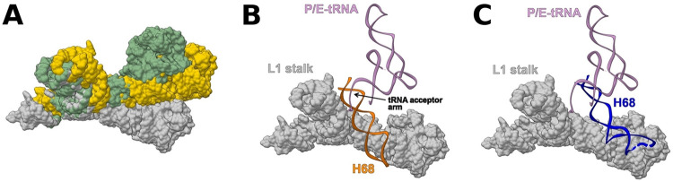 FIG 5