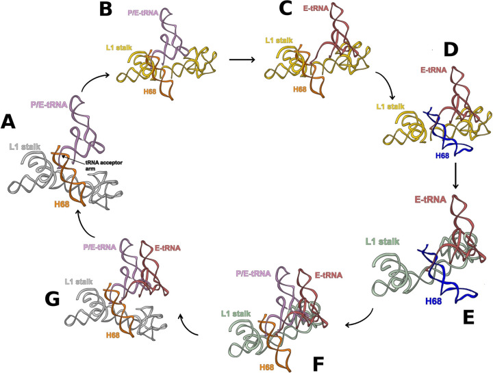 FIG 6