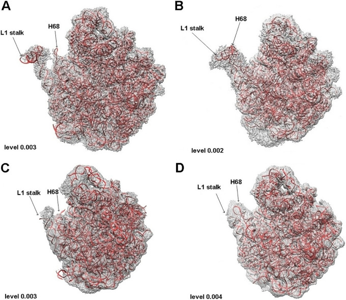 FIG 2