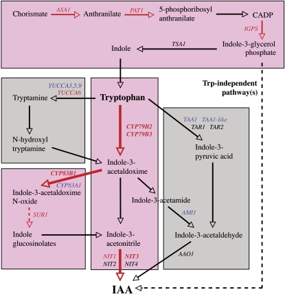 Figure 7.