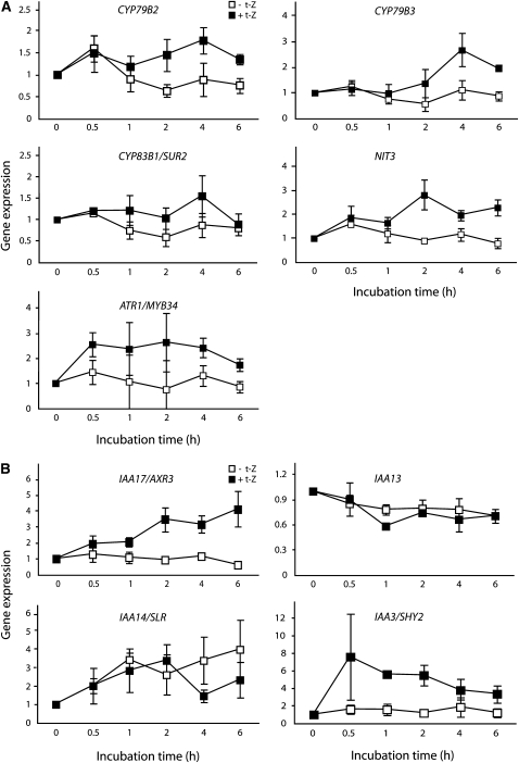 Figure 6.