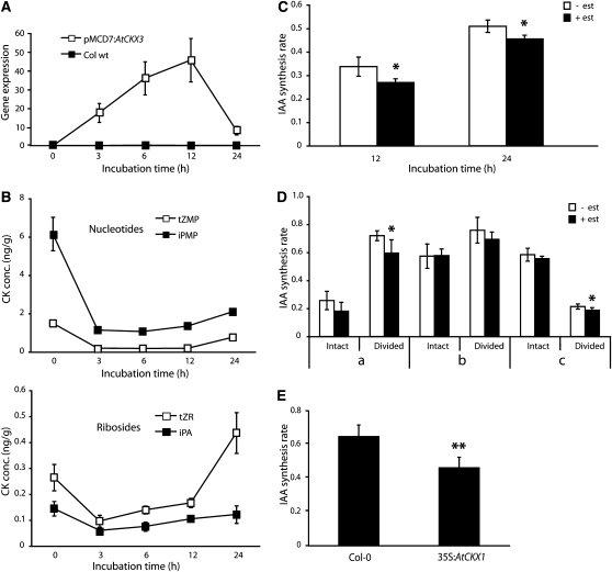 Figure 3.