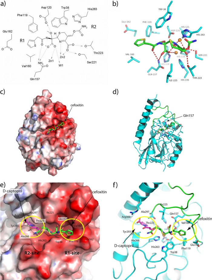 Fig 4