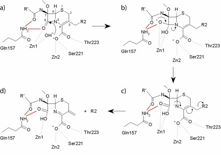 Fig 5