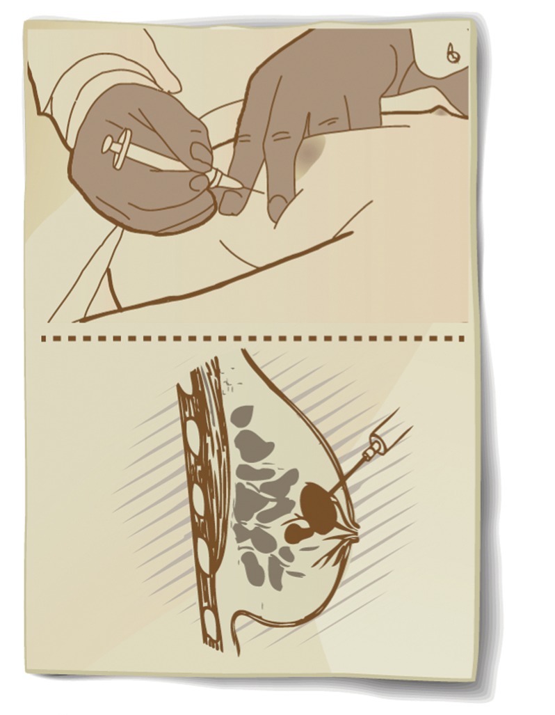 graphic file with name 1240fig1.jpg